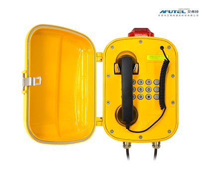 IP waterproof and dustproof telephone with screen
