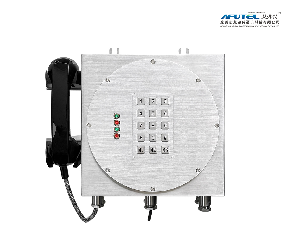 316 stainless steel IP telephone